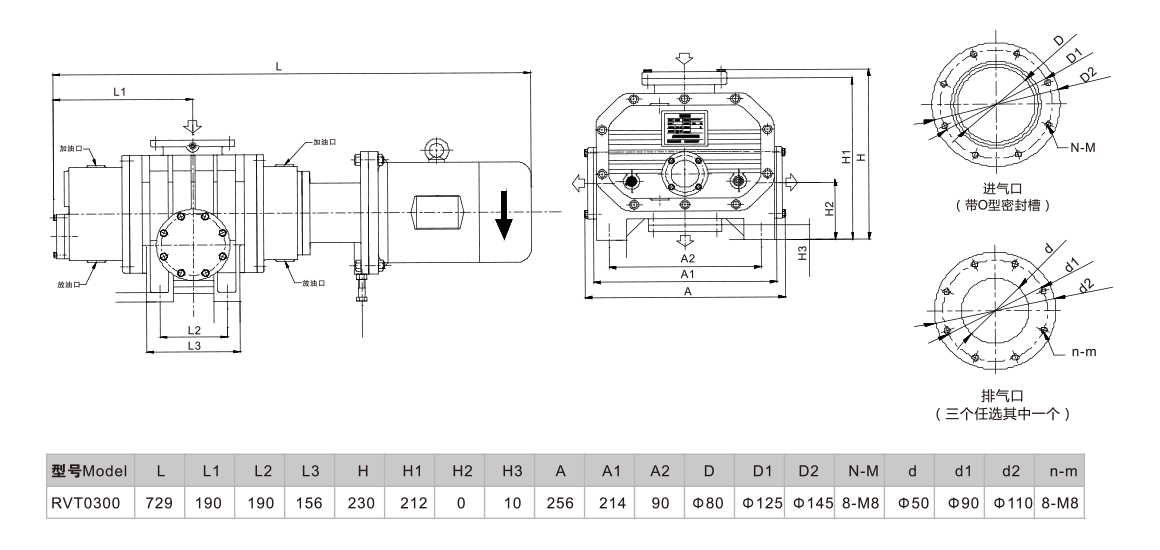 RVT0300罗茨真空泵